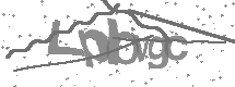 Doğrulama Kodu